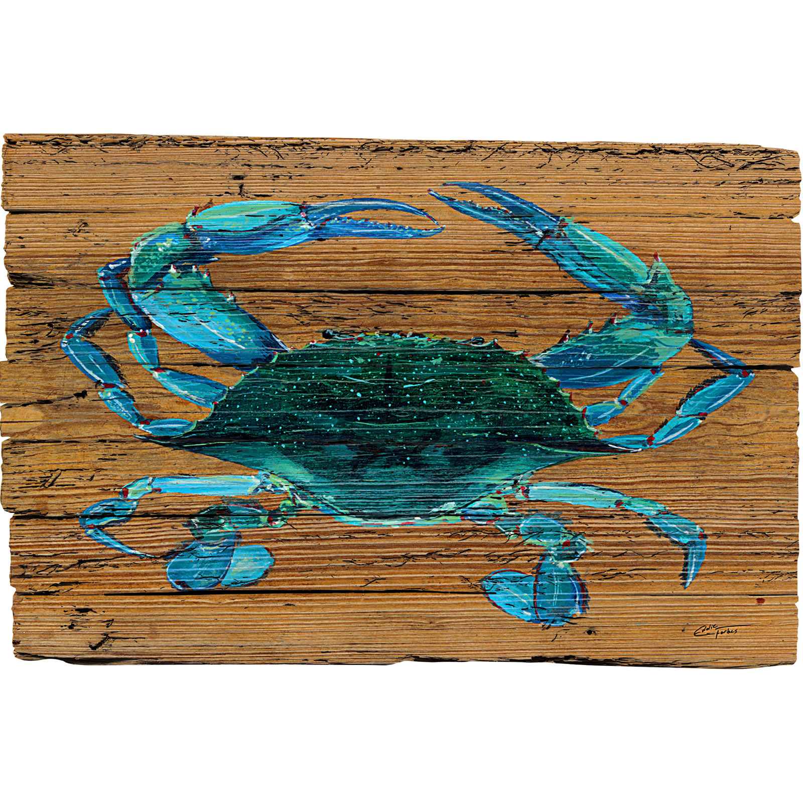 Blue Crab Trap
