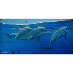 Dolphin Fam original