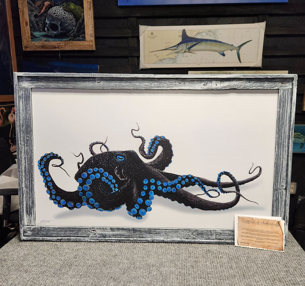 Octopus Art